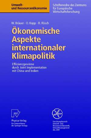 Ökonomische Aspekte internationaler Klimapolitik: Effizienzgewinne durch Joint Implementation mit China und Indien de Wolfgang Bräuer