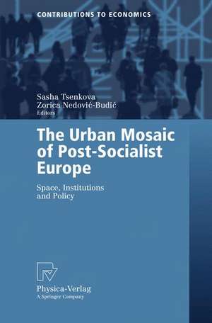 The Urban Mosaic of Post-Socialist Europe: Space, Institutions and Policy de Sasha Tsenkova