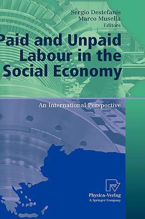 Paid and Unpaid Labour in the Social Economy: An International Perspective de Sergio Destefanis