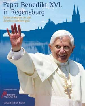 Papst Benedikt XVI. in Regensburg de Karl Birkenseer