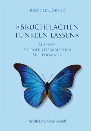 »Bruchflächen funkeln lassen« de Rüdiger Görner