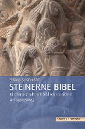 Steinerne Bibel de P. Klaus Schäfer SAC
