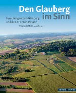 Den Glauberg im Sinn - Forschungen zum Glauberg und den Kelten in Hessen de Archäologisches Landesmuseum Hessen