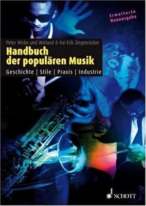 Handbuch der populären Musik de Peter Wicke