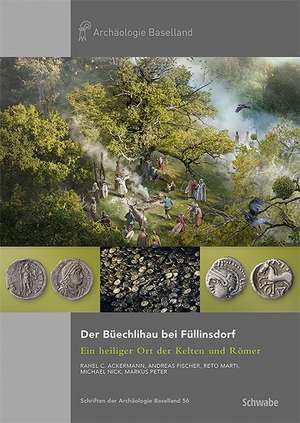 Der Büechlihau bei Füllinsdorf de Rahel C. Ackermann