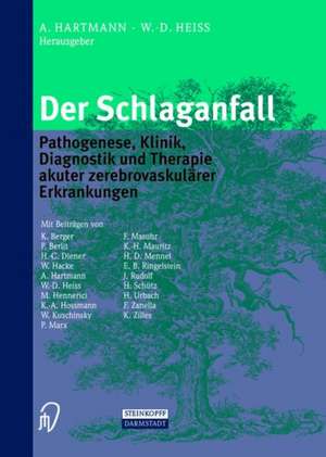 Der Schlaganfall