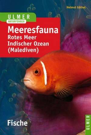 Meeresfauna. Fische de Helmut Göthel