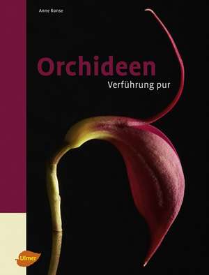 Orchideen de Anne Ronse