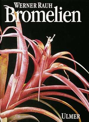 Bromelien de Werner Rauh