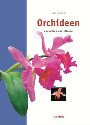 Orchideen de Isabelle Bert