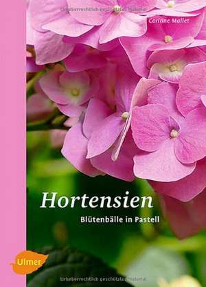 Hortensien de Corinne Mallet