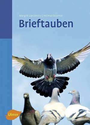 Brieftauben de Margrit Lipczinsky