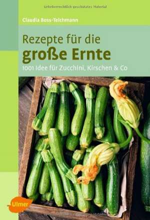 Rezepte für die große Ernte de Claudia Boss-Teichmann