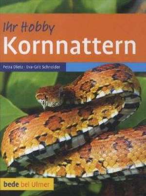 Kornnattern de Petra Dietz