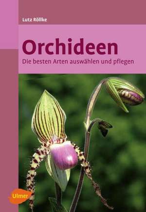 Orchideen de Lutz Röllke