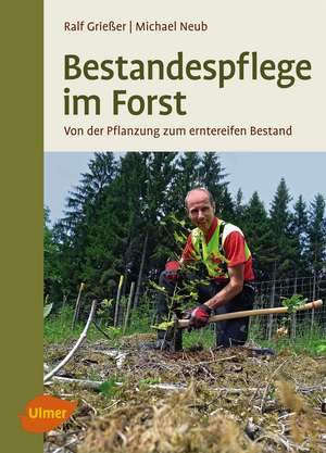 Bestandespflege im Forst de Ralf Grießer