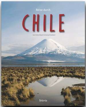 Reise durch Chile de Georg Schwikart