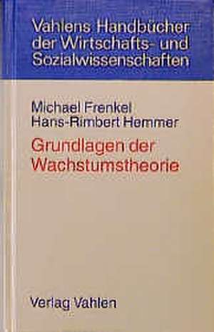 Grundlagen der Wachstumstheorie de Michael Frenkel