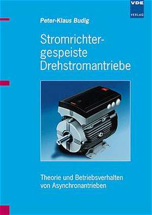 Stromrichtergespeiste Drehstromantriebe de Peter-Klaus Budig