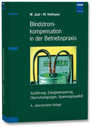 Blindstrom-Kompensation in der Betriebspraxis de Wolfgang Hofmann