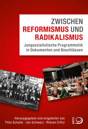 Zwischen Reformismus und Radikalismus de Thilo Scholle