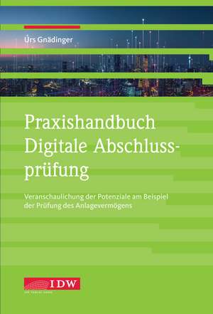 Praxishandbuch Digitale Abschlussprüfung de Gnädinger Urs