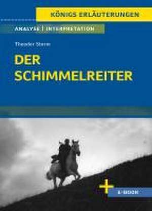 Der Schimmelreiter von Theodor Storm. de Theodor Storm