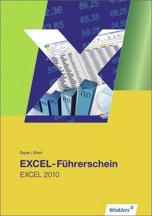 EXCEL-Führerschein de Renate Gayer