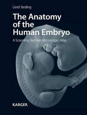 The Anatomy of the Human Embryo de Gerd Steding