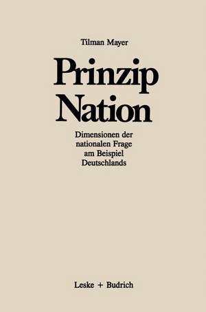 Prinzip Nation: Dimensionen der nationalen Frage, dargestellt am Beispiel Deutschlands de Tilman Mayer