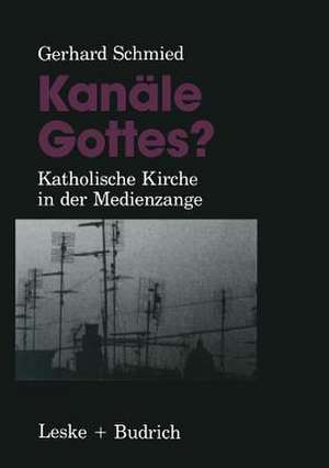 Kanäle Gottes?: Katholische Kirche in der Medienzange de Gerhard Schmied