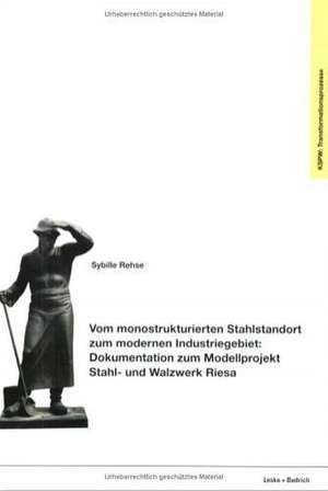 Vom monostrukturierten Stahlstandort zum modernen Industriegebiet: Dokumentation zum Modellprojekt Stahl- und Walzwerk Riesa de Sybille Rehse