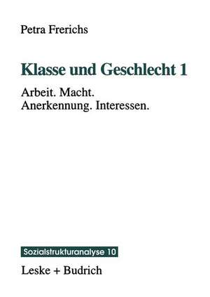 Klasse und Geschlecht 1: Arbeit. Macht. Anerkennung. Interessen de Petra Frerichs