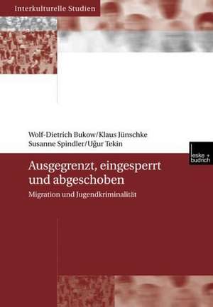 Ausgegrenzt, eingesperrt und abgeschoben: Migration und Jugendkriminalität de Wolf-Dietrich Bukow