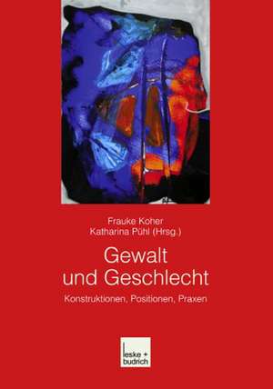 Gewalt und Geschlecht: Konstruktionen, Positionen, Praxen de Frauke Koher