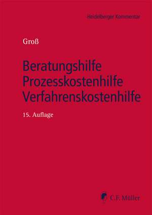 Beratungshilfe - Prozesskostenhilfe - Verfahrenskostenhilfe de Ingo Michael Groß