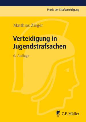 Verteidigung in Jugendstrafsachen de Matthias Zieger