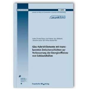 Glas-Hybrid-Elemente mit transluzenten Zwischenschichten zur Verbesserung der Energieeffizienz von Gebäudehüllen de Andrea Dimmig-Osburg