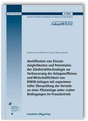 Identifikation von Einsatzmöglichkeiten und Potentialen der Zündstrahltechnologie zur Verbesserung der Anlageneffizienz und Wirtschaftlichkeit von BHKW-Anlagen mit experimenteller Überprüfung der Vorteile an einer Pilotanlage unter realen Bedingungen im Praxisbetrieb. Abschlussbericht de Raphael Lechner