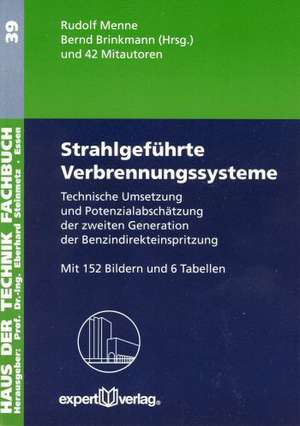 Strahlgeführte Verbrennungssysteme de Rudolf J. Menne