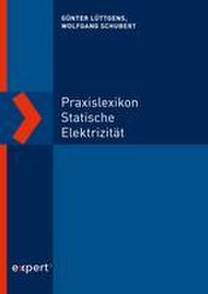 Praxislexikon statische Elektrizität de Wolfgang Schubert