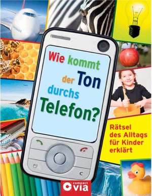 Wie kommt der Ton durchs Telefon? de Tatjana Alisch