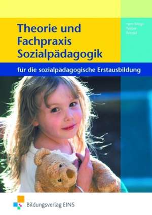 Theorie und Fachpraxis Sozialpädagogik. Schulbuch de Brigitte Vom Wege