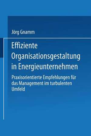 Effiziente Organisationsgestaltung in Energieunternehmen: Praxisorientierte Empfehlungen für das Management im turbulenten Umfeld de Jörg Gnamm