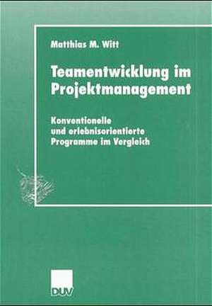 Teamentwicklung im Projektmanagement: Konventionelle und erlebnisorientierte Programme im Vergleich de Matthias M. Witt