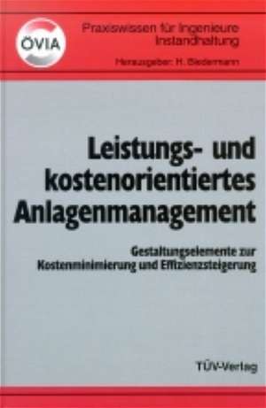 Leistungs- und kostenorientiertes Anlagenmanagement de H. Biedermann