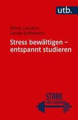 Stress bewältigen - entspannt studieren de Carola Endemann