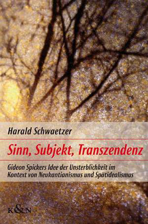 Sinn, Subjekt und Transzendenz de Harald Schwaetzer