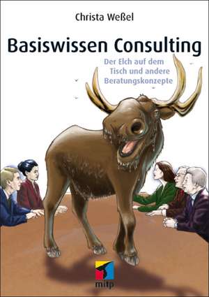 Basiswissen Consulting de Christa Weßel