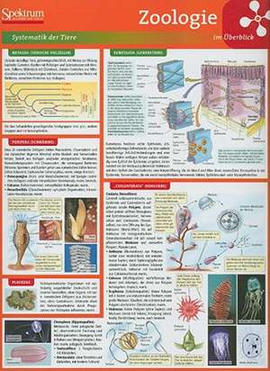 Lerntafel: Zoologie im Überblick